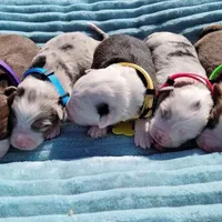 processed/3c5ee987-9226-412d-a171-11b53015e434/facility/d021bcb4-f9fe-486d-93be-c154202b2847