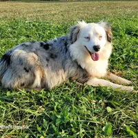 processed/3c5ee987-9226-412d-a171-11b53015e434/facility/eded4cd5-4c1a-4d21-9ed3-4850cd03b4f1