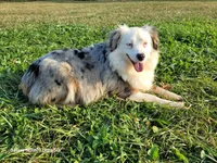 processed/3c5ee987-9226-412d-a171-11b53015e434/facility/eded4cd5-4c1a-4d21-9ed3-4850cd03b4f1