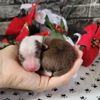 processed/3c5ee987-9226-412d-a171-11b53015e434/facility/edfeadff-ca7f-4717-928c-184f82112df6