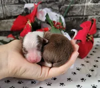 processed/3c5ee987-9226-412d-a171-11b53015e434/facility/edfeadff-ca7f-4717-928c-184f82112df6