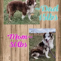 processed/3c5ee987-9226-412d-a171-11b53015e434/facility/fa13da03-89cc-4369-bc32-9dcedaeac6f2