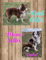 processed/3c5ee987-9226-412d-a171-11b53015e434/facility/fa13da03-89cc-4369-bc32-9dcedaeac6f2