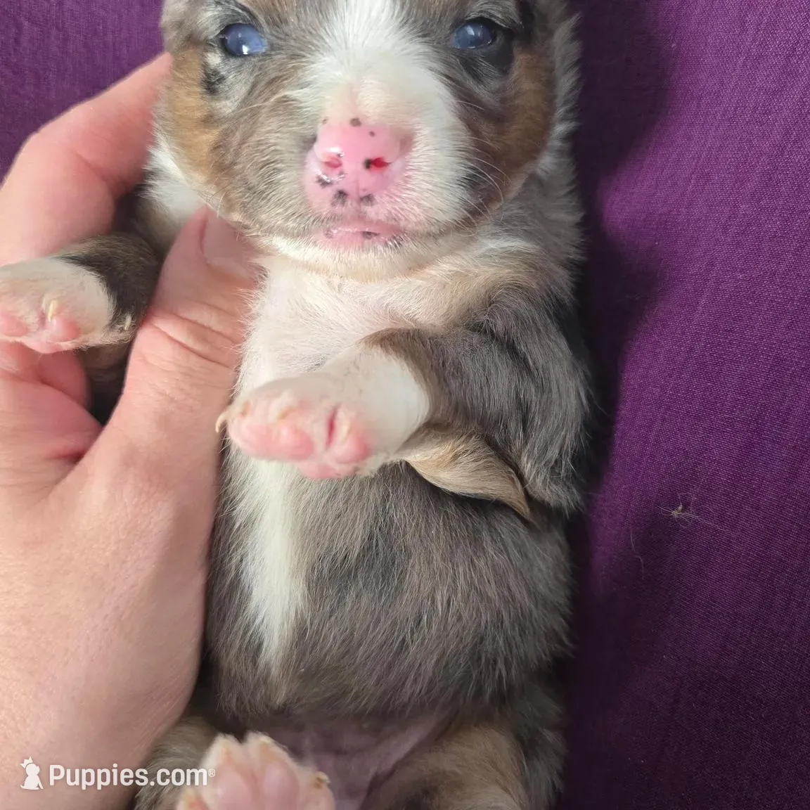 processed/3c5ee987-9226-412d-a171-11b53015e434/listing/0276ec4d-befc-4e24-948a-c9803e3475eb/2ffa92e6-6b72-470c-8ae9-a1df5c721611