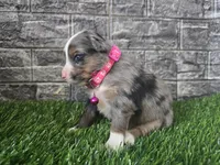 processed/3c5ee987-9226-412d-a171-11b53015e434/listing/0276ec4d-befc-4e24-948a-c9803e3475eb/41dd66f8-5eca-42af-80b1-e12ef69fb333