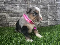 processed/3c5ee987-9226-412d-a171-11b53015e434/listing/0276ec4d-befc-4e24-948a-c9803e3475eb/612fce39-3c18-4043-8847-bf11bce35d88