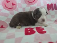 processed/3c5ee987-9226-412d-a171-11b53015e434/listing/f998512a-a84b-4795-a1bc-51cca324a76a/2a682f78-aa43-4b3b-83fc-02ca07044a86