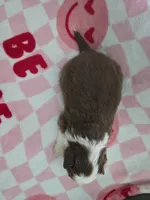 processed/3c5ee987-9226-412d-a171-11b53015e434/listing/f998512a-a84b-4795-a1bc-51cca324a76a/4b387066-f323-4550-aa5b-769fb076ddea