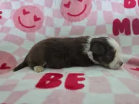 processed/3c5ee987-9226-412d-a171-11b53015e434/listing/f998512a-a84b-4795-a1bc-51cca324a76a/6e8d182a-17fd-448f-93bd-a2f61fa5a49d