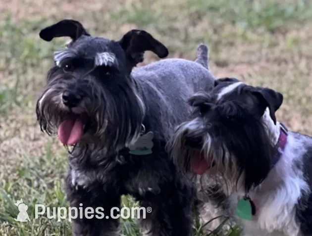 processed/3c6a1091-4600-4e28-8853-000dbff179a6/facility/4d9dee63-9a0a-4dbd-9c61-d57801d8dd57