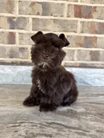 processed/3c6a1091-4600-4e28-8853-000dbff179a6/listing/ea484fc8-9d34-41ba-a6d8-156ee7d0c557/18d2b71f-3db3-4c1d-accc-1c8e5644b023