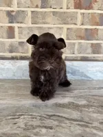 processed/3c6a1091-4600-4e28-8853-000dbff179a6/listing/ea484fc8-9d34-41ba-a6d8-156ee7d0c557/4bf6d97c-fa22-4014-aef6-7af3e65ec946