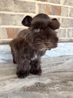 processed/3c6a1091-4600-4e28-8853-000dbff179a6/listing/ea484fc8-9d34-41ba-a6d8-156ee7d0c557/4e3421b1-d46a-46f6-b529-dd69c2de4256