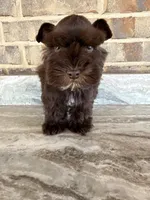 processed/3c6a1091-4600-4e28-8853-000dbff179a6/listing/ea484fc8-9d34-41ba-a6d8-156ee7d0c557/fa5dc4ed-3297-468d-b1df-8edf61042489