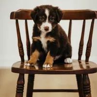 processed/3c72c98d-fb3a-45a4-8025-9f45a86b5f34/facility/133a2d39-05d5-49c8-962b-63bb417e0a54