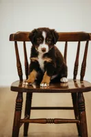 processed/3c72c98d-fb3a-45a4-8025-9f45a86b5f34/facility/133a2d39-05d5-49c8-962b-63bb417e0a54