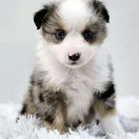 processed/3c72c98d-fb3a-45a4-8025-9f45a86b5f34/facility/1b86197e-366b-4d85-9532-69515263a40d