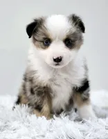 processed/3c72c98d-fb3a-45a4-8025-9f45a86b5f34/facility/1b86197e-366b-4d85-9532-69515263a40d