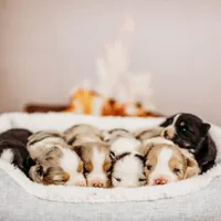 processed/3c72c98d-fb3a-45a4-8025-9f45a86b5f34/facility/4a7952f1-b461-4c54-95cc-c3b917abe39e