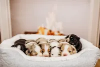 processed/3c72c98d-fb3a-45a4-8025-9f45a86b5f34/facility/4a7952f1-b461-4c54-95cc-c3b917abe39e