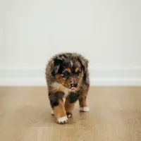 processed/3c72c98d-fb3a-45a4-8025-9f45a86b5f34/facility/4a80e5f6-9cbd-48c3-8d04-ad5a174adcea