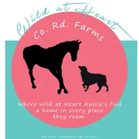 processed/3c72c98d-fb3a-45a4-8025-9f45a86b5f34/facility/909688dc-4af6-4613-a524-36e34a05c9e2