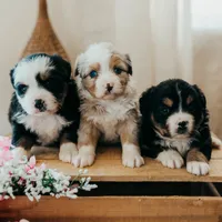 processed/3c72c98d-fb3a-45a4-8025-9f45a86b5f34/facility/96e7936b-1fa1-47c8-b7b3-3ac75627491a