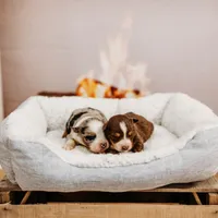 processed/3c72c98d-fb3a-45a4-8025-9f45a86b5f34/facility/a692a4cb-8c58-4fc4-9cd9-1523b631cc4e