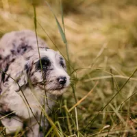 processed/3c72c98d-fb3a-45a4-8025-9f45a86b5f34/facility/ae4c9585-393e-4bd2-8240-03976c25e23d