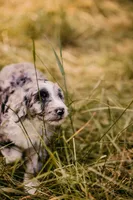 processed/3c72c98d-fb3a-45a4-8025-9f45a86b5f34/facility/ae4c9585-393e-4bd2-8240-03976c25e23d