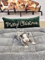 Vixen, a male Miniature Australian Shepherd for sale in Lewis, IN – Photo 10 of 10