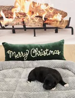 Candy, a female Miniature Australian Shepherd for sale in Lewis, IN – Photo 10 of 10