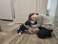 Snickers , a male Aussiedoodle for sale in Lewis, IN – Photo 2 of 7