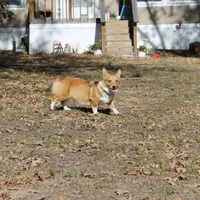 processed/3c72f49c-ea20-40ae-ad6e-5cda16295c35/facility/40111aed-d4dd-4e91-bcf2-9ba3abcf9c64