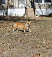 processed/3c72f49c-ea20-40ae-ad6e-5cda16295c35/facility/40111aed-d4dd-4e91-bcf2-9ba3abcf9c64