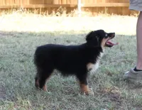 processed/3c72f49c-ea20-40ae-ad6e-5cda16295c35/facility/4541b18b-1882-4835-89f5-89edd57f9def