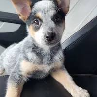 processed/3c72f49c-ea20-40ae-ad6e-5cda16295c35/facility/59812437-7f89-48bf-bc3c-fdc1653d6259