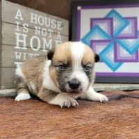 processed/3c72f49c-ea20-40ae-ad6e-5cda16295c35/facility/97cd0db4-537f-4642-81a2-4d8483240449