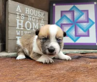 processed/3c72f49c-ea20-40ae-ad6e-5cda16295c35/facility/97cd0db4-537f-4642-81a2-4d8483240449