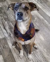 processed/3c72f49c-ea20-40ae-ad6e-5cda16295c35/listing/79a8d0ec-86cd-4ebe-b10c-b599b666940f/61d8b266-83a9-48e1-9c0b-9e3f1bb75d70