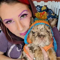 Boomhauer, a male French Bulldog for sale in Strafford, MO – Photo 2 of 8