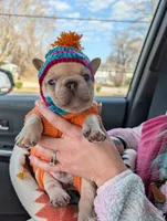 processed/3c7732be-f52b-41ff-9c13-ab48e746527d/listing/6152b8aa-006e-4f2e-a1b8-54fdf7c59a1f/146ffc82-577b-4244-92eb-ef4cc352828f