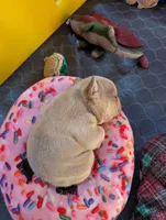 processed/3c7732be-f52b-41ff-9c13-ab48e746527d/listing/6152b8aa-006e-4f2e-a1b8-54fdf7c59a1f/32c88bbd-3a71-441a-9ff3-7cef5d0ecc98