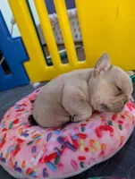 processed/3c7732be-f52b-41ff-9c13-ab48e746527d/listing/6152b8aa-006e-4f2e-a1b8-54fdf7c59a1f/79c8eae1-d0c3-4861-8293-d4948c4ddbc0