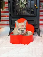 processed/3c7732be-f52b-41ff-9c13-ab48e746527d/listing/6152b8aa-006e-4f2e-a1b8-54fdf7c59a1f/8b712788-cb5a-4ee9-8218-c1ae07a39e9c