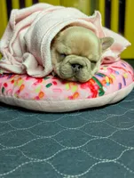 processed/3c7732be-f52b-41ff-9c13-ab48e746527d/listing/6152b8aa-006e-4f2e-a1b8-54fdf7c59a1f/c0f7090d-5cce-44ef-929b-84f3b8ff9b5e