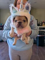 processed/3c7732be-f52b-41ff-9c13-ab48e746527d/listing/6152b8aa-006e-4f2e-a1b8-54fdf7c59a1f/f2c63626-8cd1-45fa-9b8b-7acae22861d6