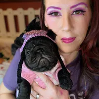 Luanne, a female French Bulldog for sale in Strafford, MO – Photo 2 of 6