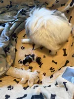 processed/3c84d414-9543-4a16-84ae-71aa9b0c34f4/facility/026d6ae2-09bd-4e00-9b3c-8199c6355b11