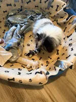 processed/3c84d414-9543-4a16-84ae-71aa9b0c34f4/facility/059678fe-b09e-4a51-8d37-ec1396a9a522